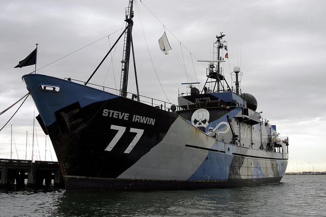 ea Shepards Steve Irwin at Seaworks pier at Williamstown. Whale patrols over for the season 2012.