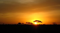 Sunrise on the Serengeti