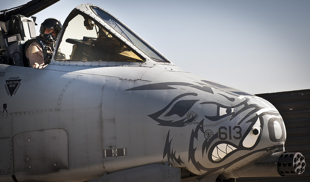 A pilot assigned to the 104th Expeditionary Fighter Squadron prepares an A-10 Thunderbolt II for a mission at Bagram Airfield Afghanistan. Known as the 'Warthog', the aircraft is being removed from service due to US military spending cuts.