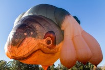 Canberra's Skywhale