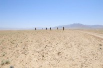 Members of Mentoring Team One, part of Mentoring Task Force - Four, move across the the 'Dasht' (desert) during a mentored patrol with members of the Afghanistan National Army in Uruzgan Province, Afghanistan.