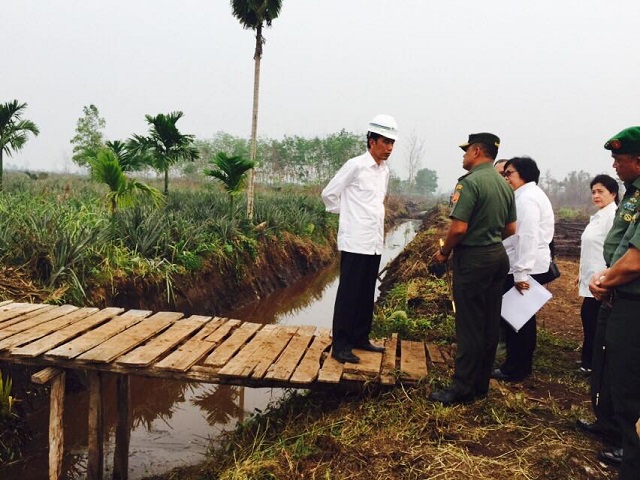 President Joko Widodo of Indonesia, inspecting the work in building retention basin to restore peatland moisture and to stop the forest fire in Rimbo Panjang, Riau.