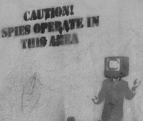 Understanding the limits of intelligence